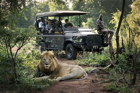 african safari porn|African Safari Porn Videos .